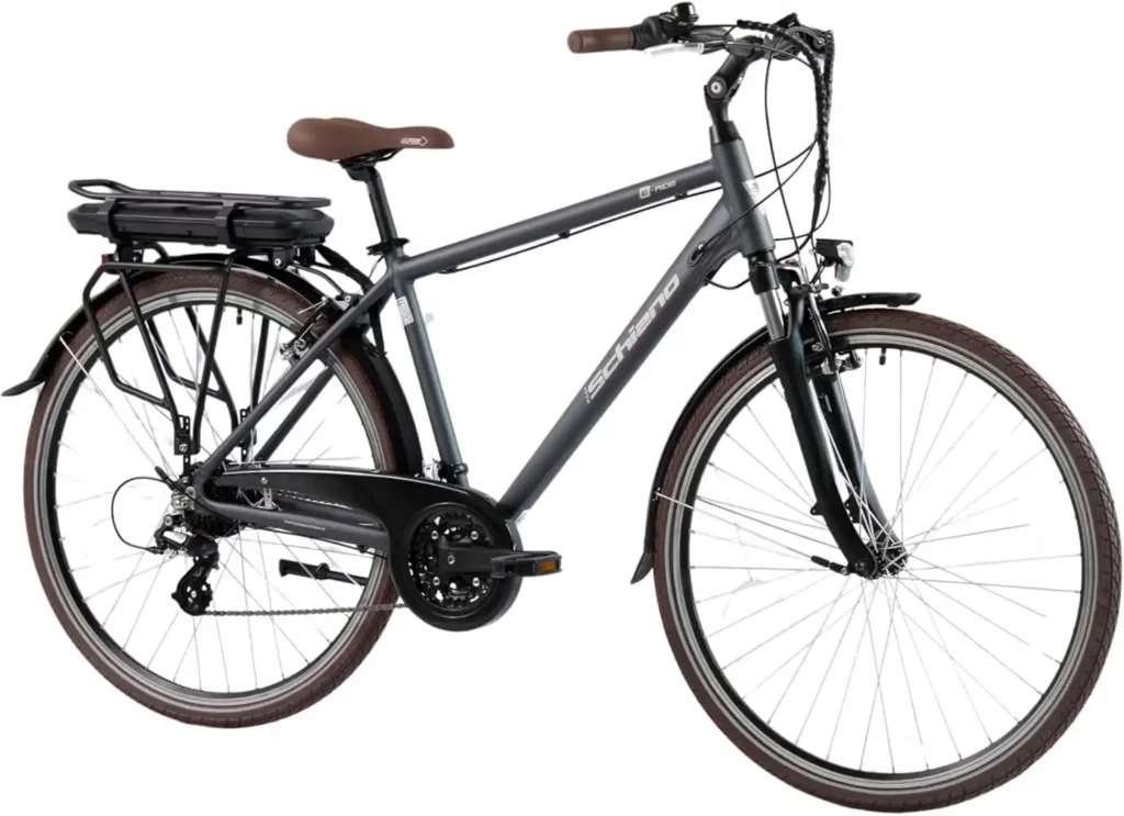 F.lli Schiano Herren-E-Bike, Anthrazit, 28 Zoll