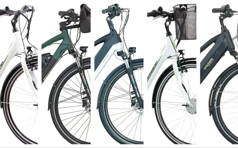5 E-Bike gebraucht für Damen Diese Schnäppchen staunen