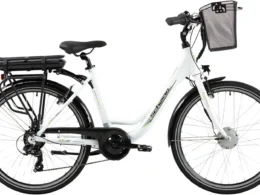 5 Gründe, dieses gebrauchte 26-Zoll-F.lli-Schiano-E-Bike zu kaufen