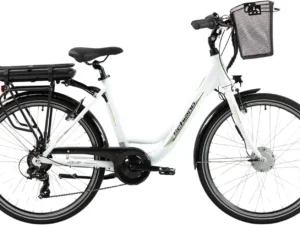 5 Gründe, dieses gebrauchte 26-Zoll-F.lli-Schiano-E-Bike zu kaufen